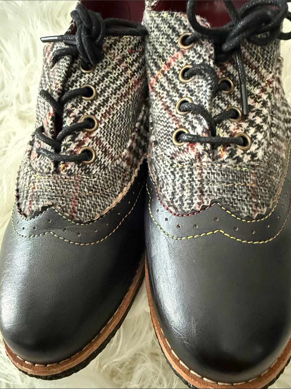 L’ARTISTE Multicolor Tweed with Black Leather Wingtip Oxfords - Picture 11 of 16